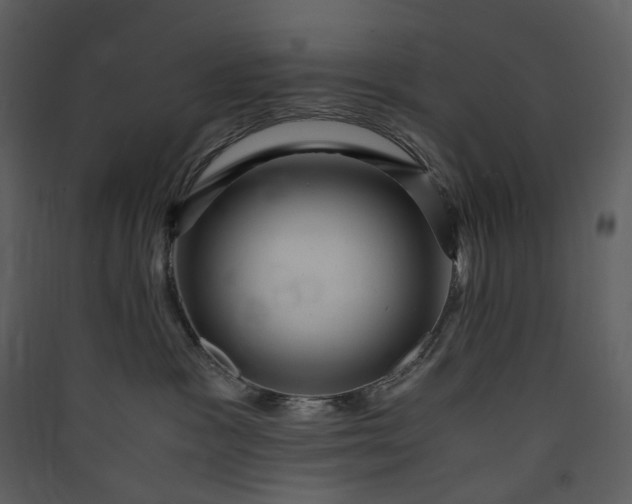 X0000089950333200707131521