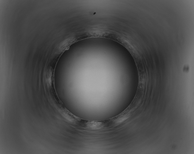 X0000089950334200707131521