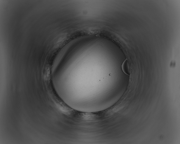 X0000089950336200707131521