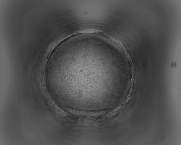 X0000089950337200707131520