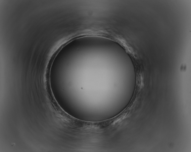 X0000089950340200707131520