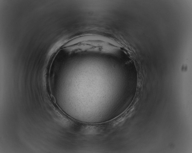 X0000089950341200707131520