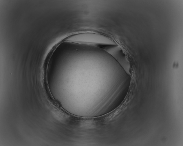 X0000089950342200707131520
