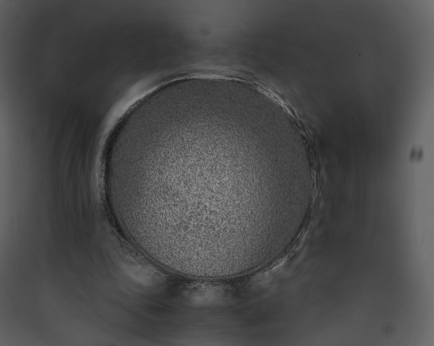X0000089950343200707131520
