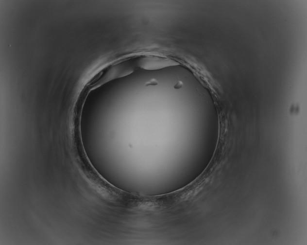 X0000089950344200707131520