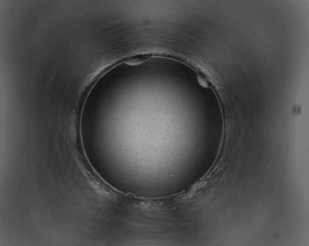 X0000089950345200707131521