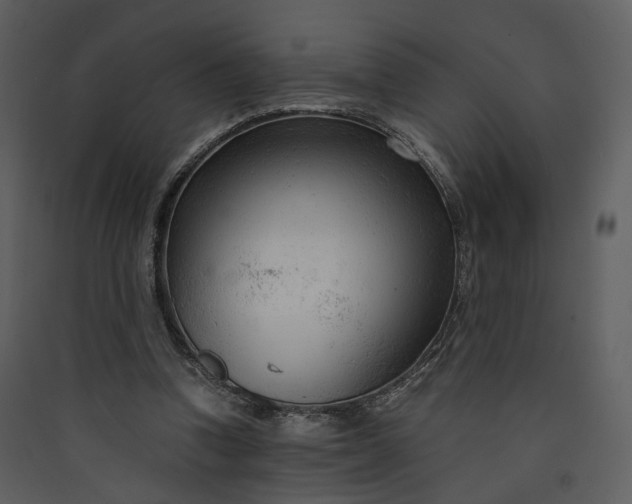 X0000089950346200707131521