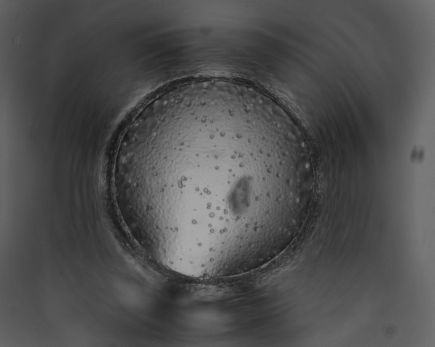 X0000089950347200707131521