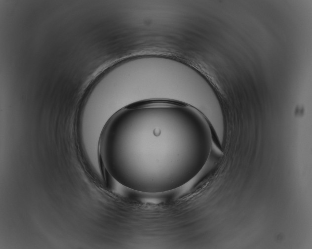 X0000089950348200707131521