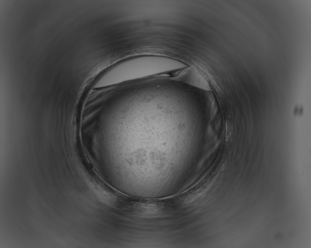 X0000089950349200707131521
