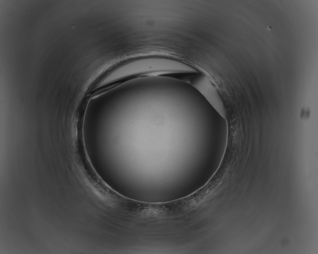 X0000089950350200707131521