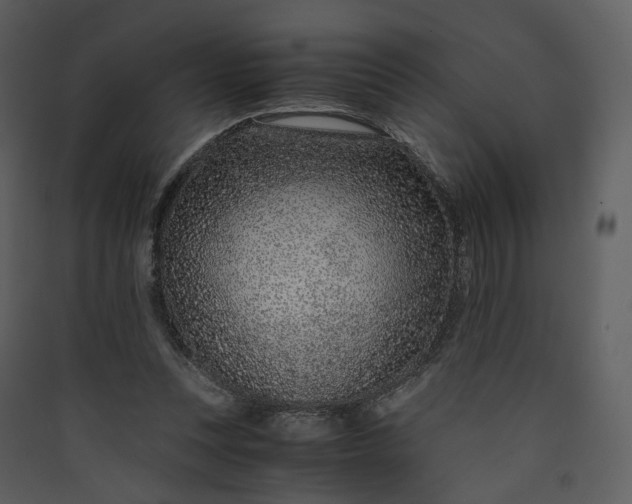 X0000089950351200707131521