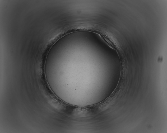 X0000089950354200707131521