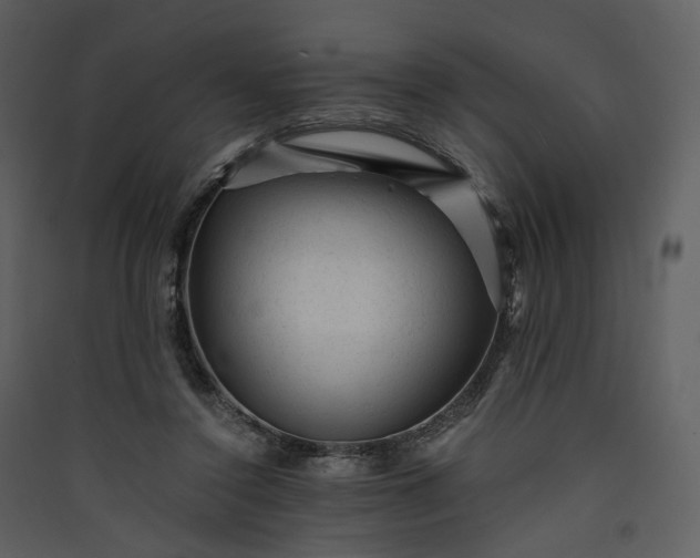 X0000089950356200707131521