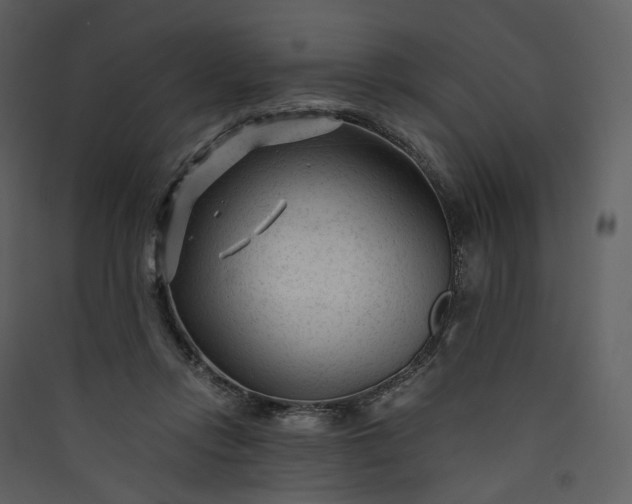 X0000089950358200707131521