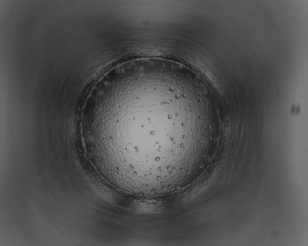 X0000089950359200707131521