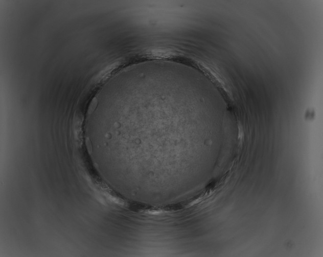 X0000089950360200707131521