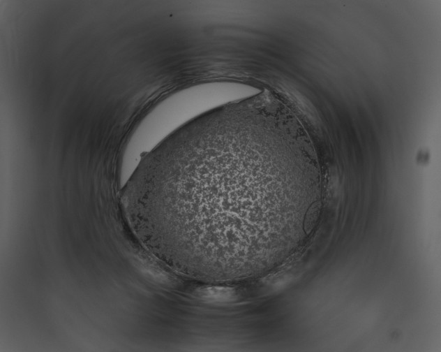 X0000089950361200707131521