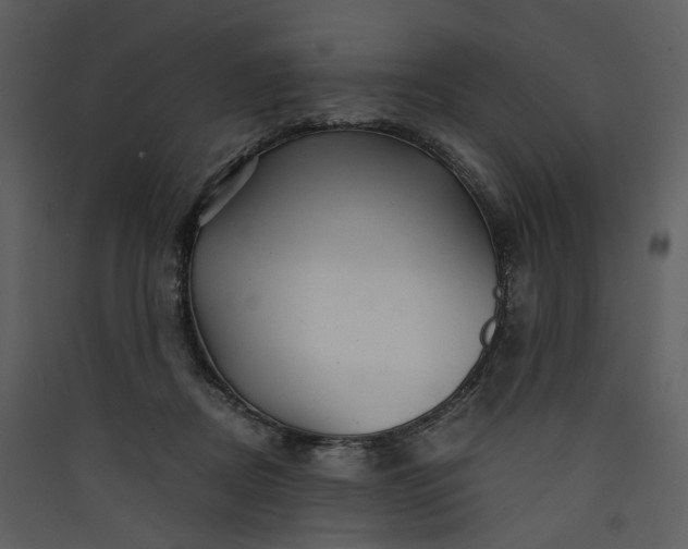 X0000089950362200707131521