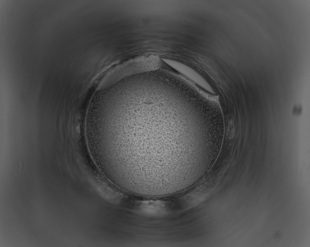 X0000089950363200707131521