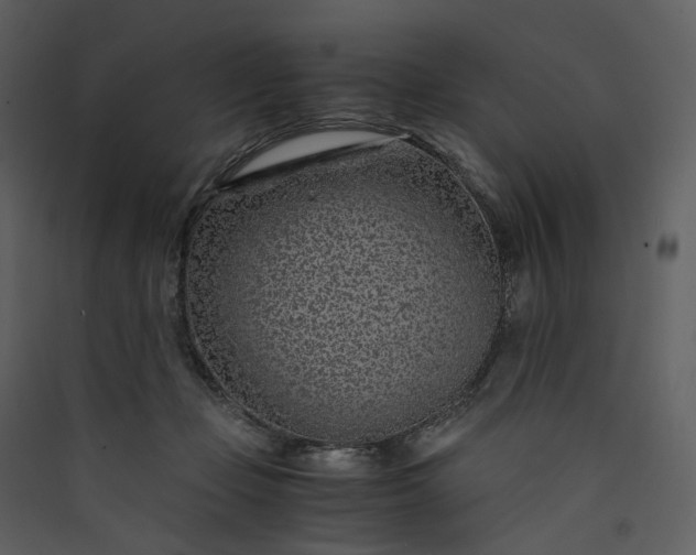 X0000089950365200707131521