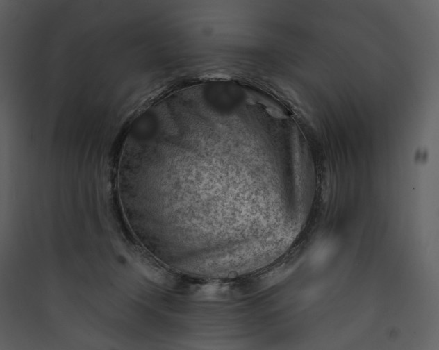 X0000089950366200707131521