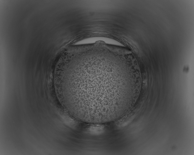 X0000089950369200707131521