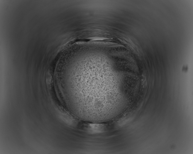 X0000089950371200707131521