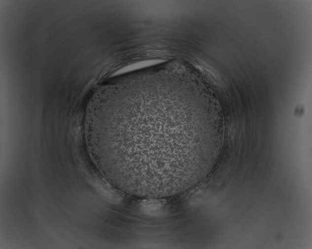 X0000089950373200707131521
