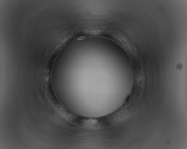 X0000089950374200707131521