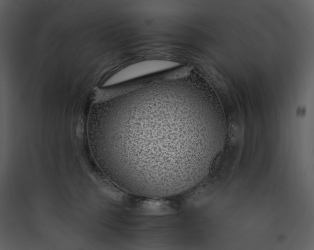 X0000089950375200707131521