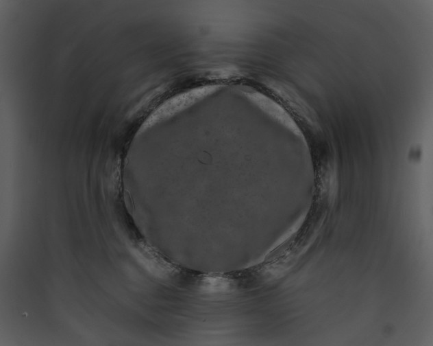 X0000089950376200707131521