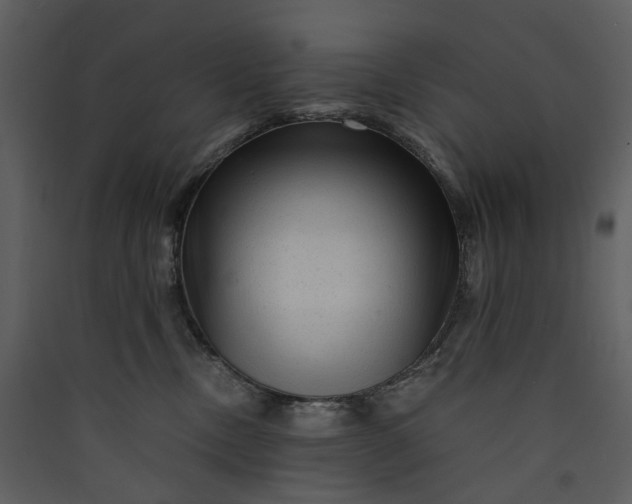 X0000089950378200707131521