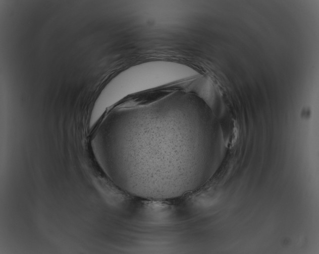 X0000089950380200707131521