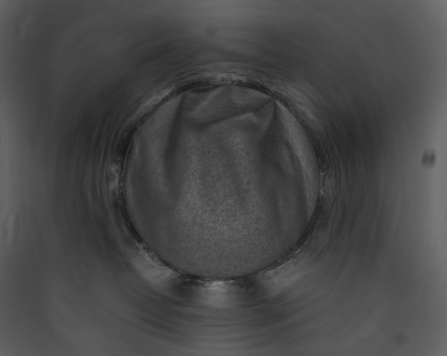 X0000089950382200707131521