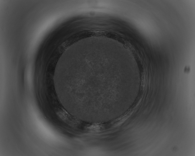 X0000089950383200707131521