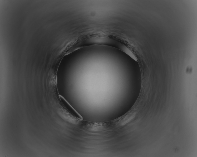 X0000089950384200707131521