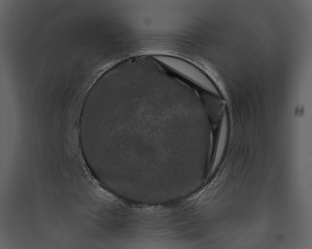 X0000089950385200707131520