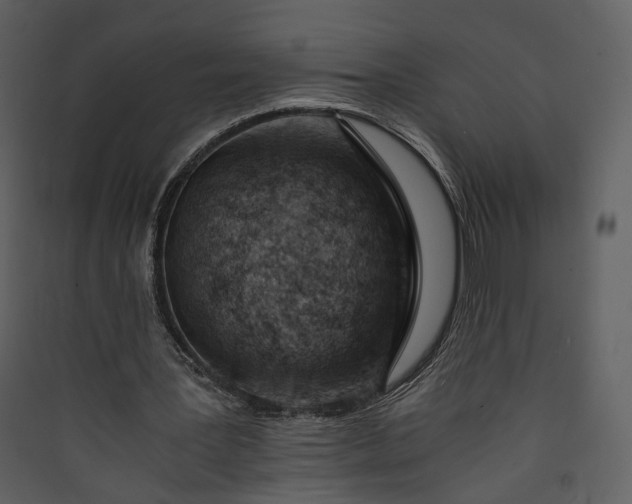X0000089950387200707131520