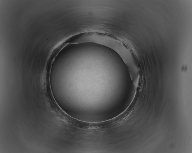 X0000089950388200707131520