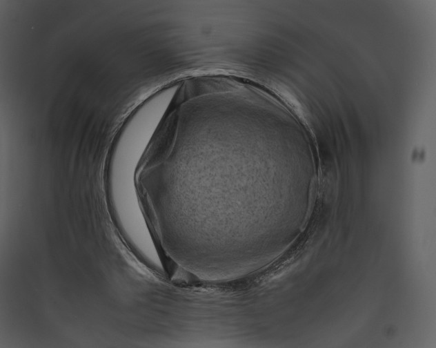 X0000089950389200707131520