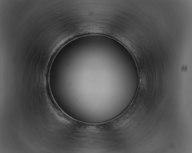 X0000089950390200707131520