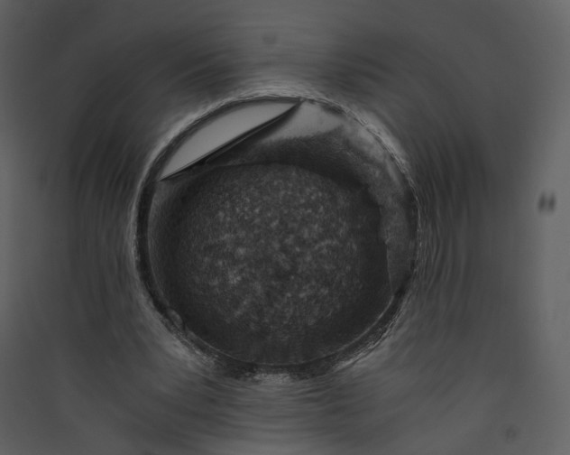 X0000089950391200707131520