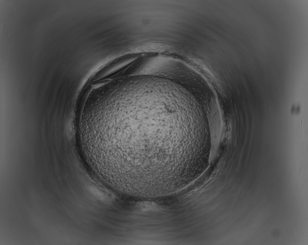 X0000089950392200707131520