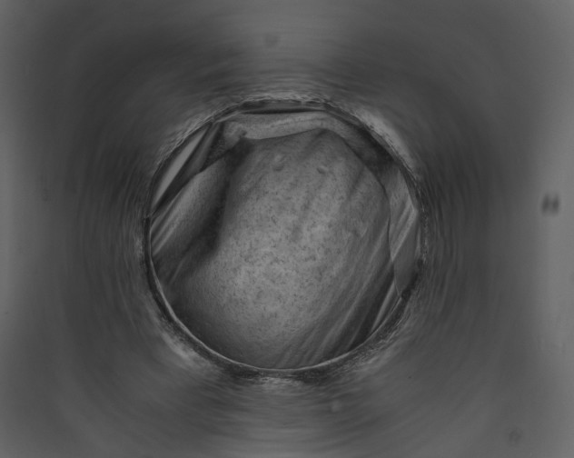 X0000089950393200707131520