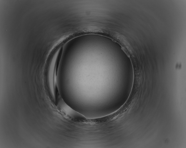X0000089950395200707131520