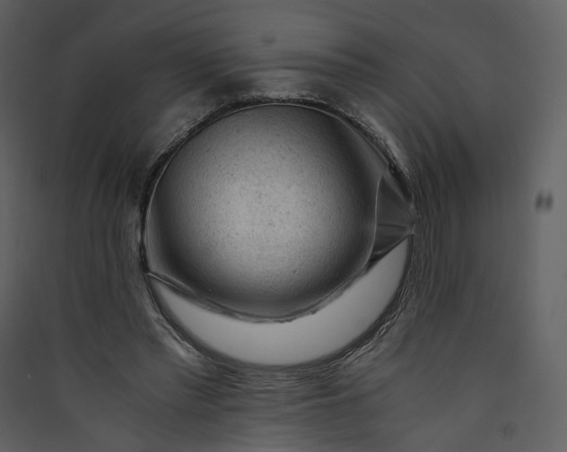 X0000089950397200707131520