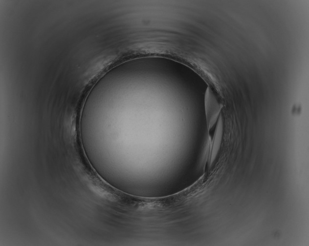 X0000089950398200707131520