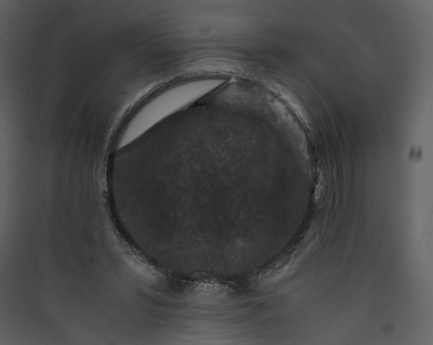 X0000089950399200707131520