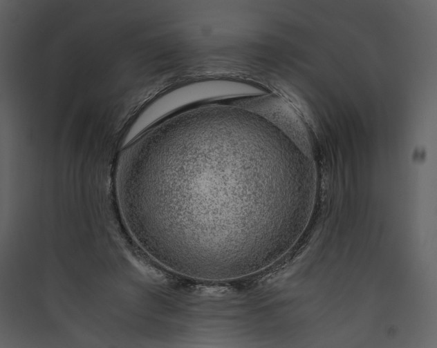 X0000089950401200707131520